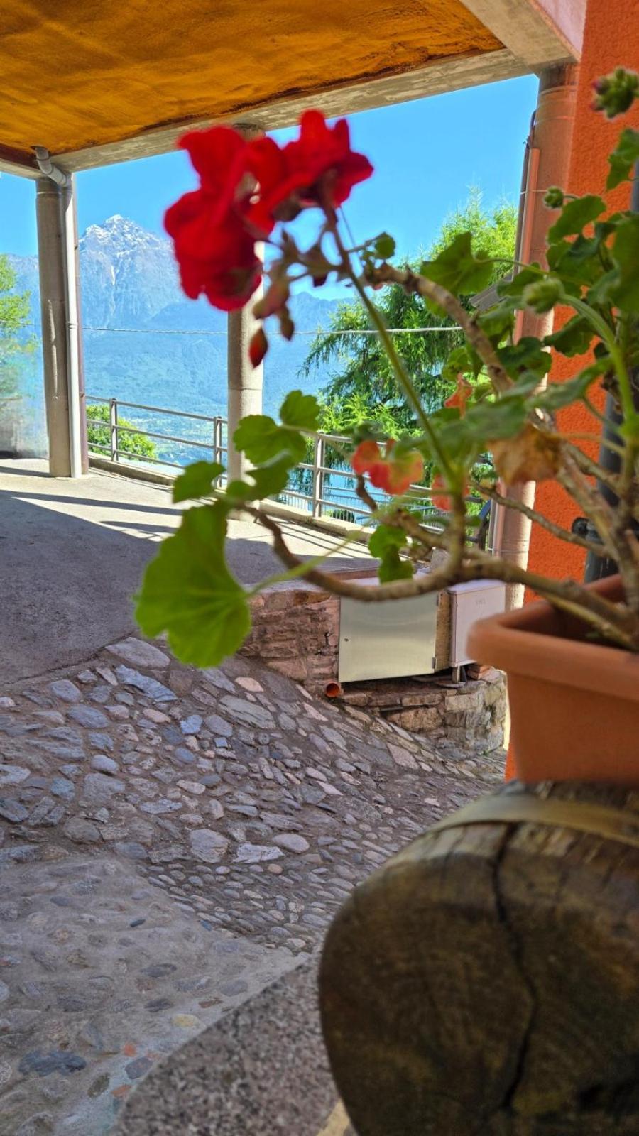Agriturismo Runchee *
